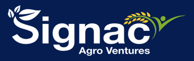 Client logo